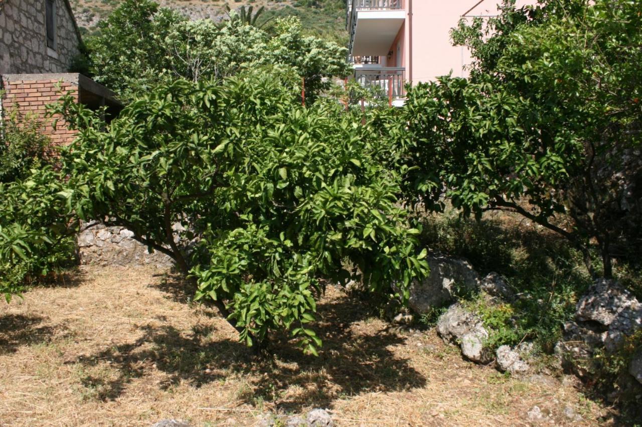 Apartments By The Sea Podaca, Makarska - 6874 Eksteriør billede